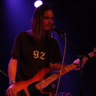 3295954.jpg