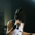 3301324.jpg