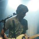 3301349.jpg