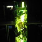 3319092.jpg