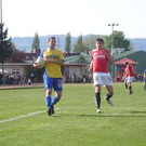 3322495.jpg