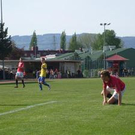 3322536.jpg