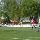 3322538.jpg