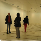 3354042.jpg