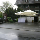 3364737.jpg