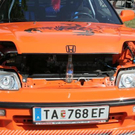 3393374.jpg