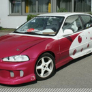 3393384.jpg