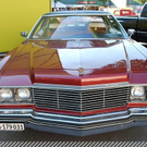 3406054.jpg
