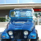 3406074.jpg