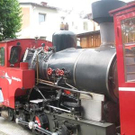 3487403.jpg