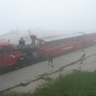 3487419.jpg