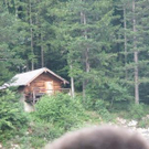 3487479.jpg