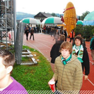 3511657.jpg