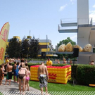 3516495.jpg