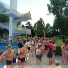 3516507.jpg