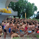 3516509.jpg