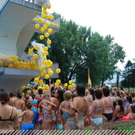 3516515.jpg