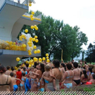 3516516.jpg