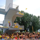 3516519.jpg