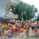 3516521.jpg