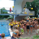 3516524.jpg