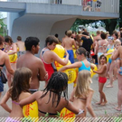 3516530.jpg