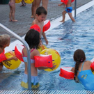 3516545.jpg