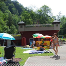 3516567.jpg