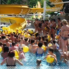 3516577.jpg