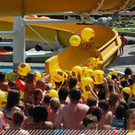 3516580.jpg