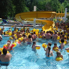 3516590.jpg