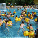 3516597.jpg