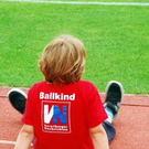 3530046.jpg