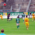 3530063.jpg