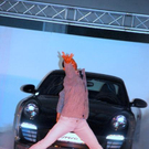 3570845.jpg