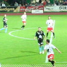 3617028.jpg