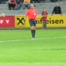3617029.jpg