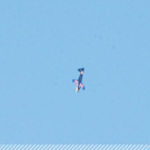3618318.jpg