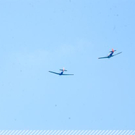3618340.jpg