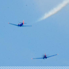 3618350.jpg