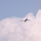 3618759.jpg