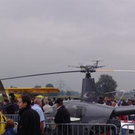 3618594.jpg