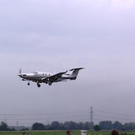 3618595.jpg