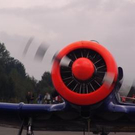 3618598.jpg