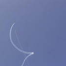 3618686.jpg