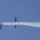 3618688.jpg
