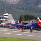 3618730.jpg
