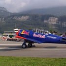 3618731.jpg