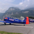3618732.jpg