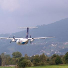 3618746.jpg